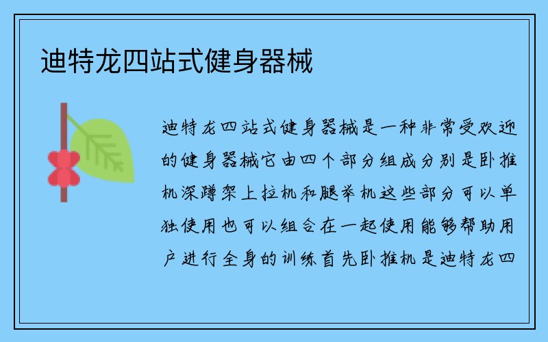 迪特龙四站式健身器械