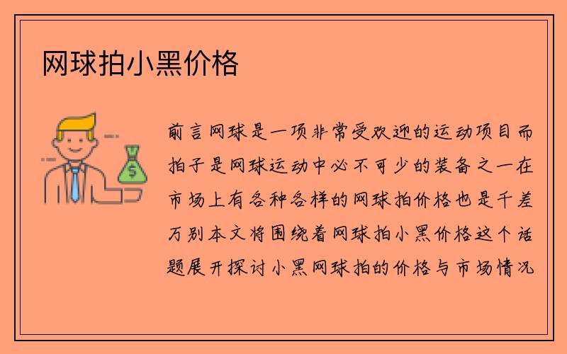 网球拍小黑价格