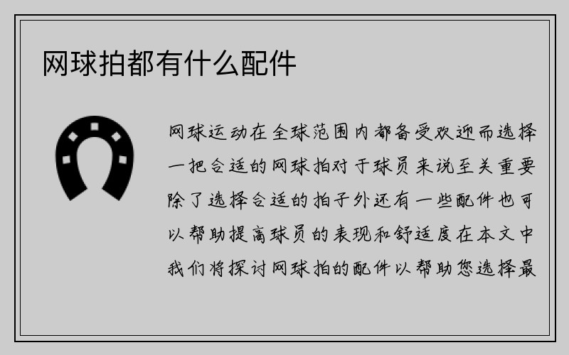 网球拍都有什么配件