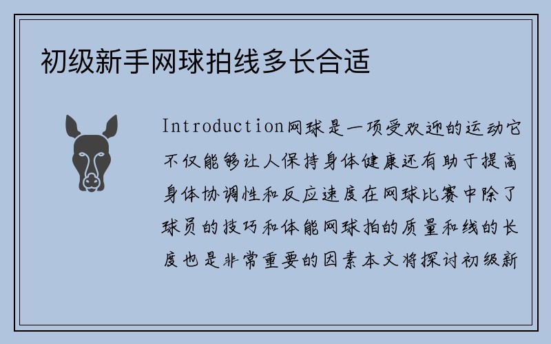 初级新手网球拍线多长合适