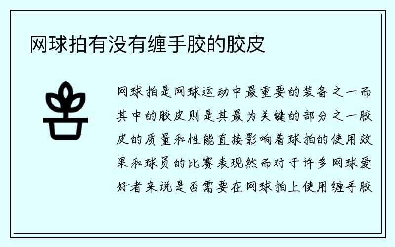 网球拍有没有缠手胶的胶皮